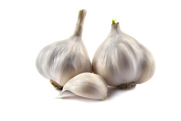 Garlic clove and bulb isolated on a white background.