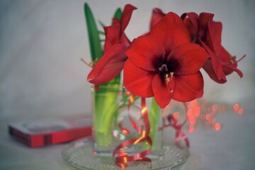 still life with flowers