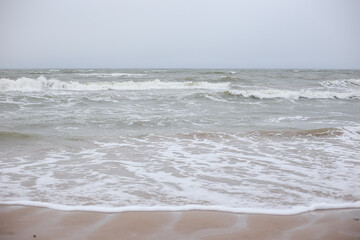 Baltic sea shoreside view of baltic sea.