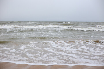 Baltic sea shoreside view of baltic sea.