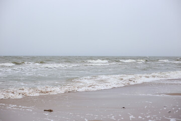 Baltic sea shoreside view of baltic sea.