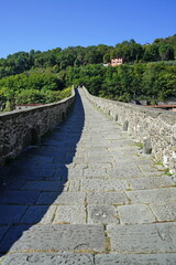 Fototapeta na wymiar Maddalena bridge, called of the devil, in Borgo a Mozzano in Garfagnana, Tuscany, Italy