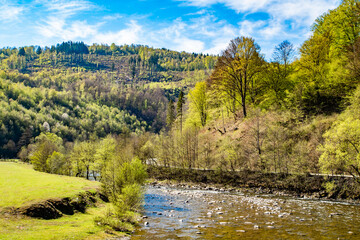 mountain river flows near the forest and mountains.