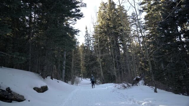 Hiker walks up snowy path surrounded by evergreen trees in winter, 4K
