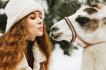 young woman in fashion stylish winter clothes standing and kissing with llama pet in snowy pine forest and having fun, concept of valentine's day and newlyweds, tenderness and love family