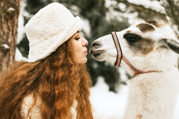 young woman in fashion stylish winter clothes standing and kissing with llama pet in snowy pine forest and having fun, concept of valentine's day and newlyweds, tenderness and love family © klavdiyav