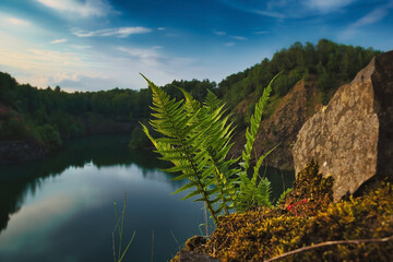 sunset on a quarry lake in the forest