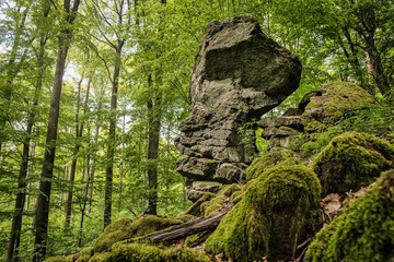 Huge rock with moss into the woods