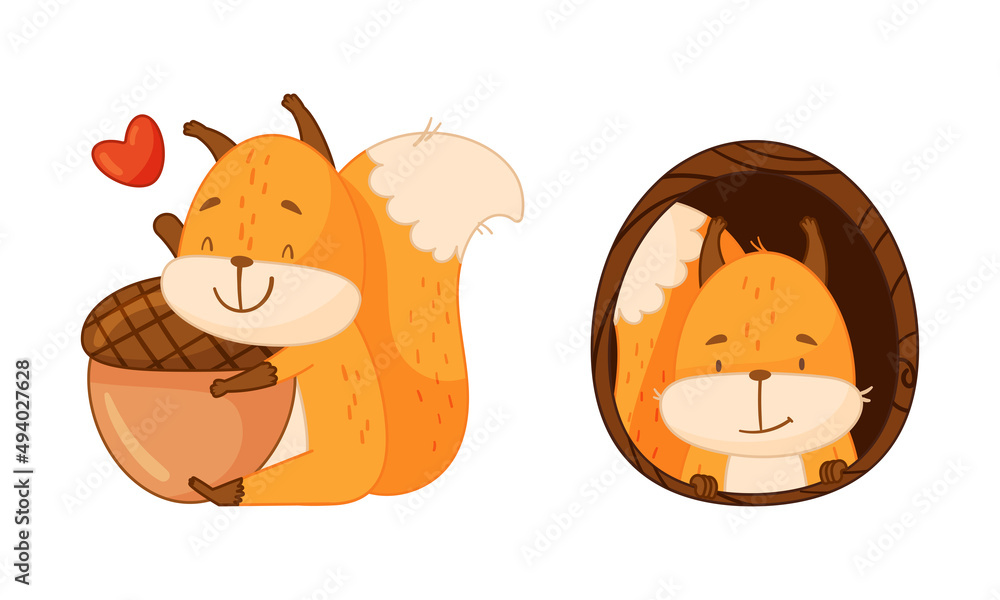 Aufkleber cute red squirrel in different actions set. funny little forest animal hugging acorn and peeking out
