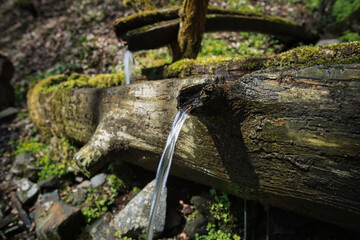 beautiful wooden water fountain in the forest