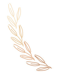 Fototapeta na wymiar Long branch with leaves. Olive branch. Fresh leaves. Simple, doodle, modern style. Nature summer. Silhouette.