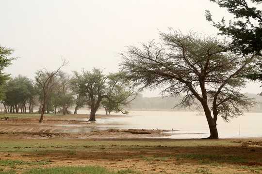 Bords du lac - Burkina Faso