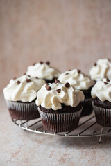 Rich chocolate cupcakes with whipped cream frosting and chocolate chips on a cooling rack. Close up.