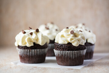 Rich chocolate cupcakes with whipped cream frosting and chocolate chips.