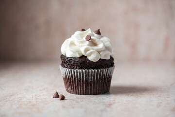 One rich chocolate cupcakes with whipped cream frosting and chocolate chips. - 494029806