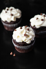Rich chocolate cupcakes with whipped cream frosting and chocolate chips on a balck background,