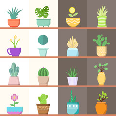 Set of decorative pot and plants vector illustration with light and dark background