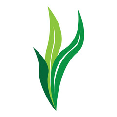 leaf logo vector ilustration design and icon