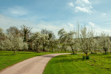 summertime in the parks.