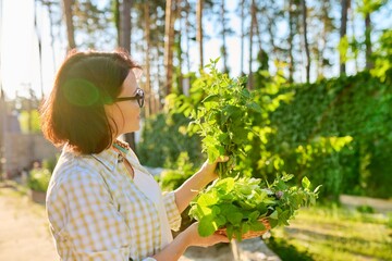 Woman holding branch of fresh herbs melissa lemon balm in her hands
