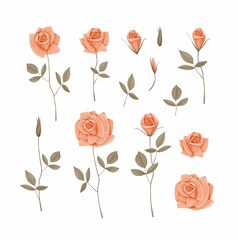 A set of hand-drawn roses on a white background. Vintage style. Stock illustration.