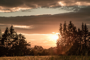 Beau coucher de soleil sur un champ à la campagne