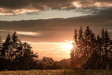 Tuinposter Bruin Prachtige zonsondergang boven een veld op het platteland