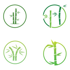 Logo of a bamboo plant or a type of hollow plant. Using a modern illustration business vector concept design