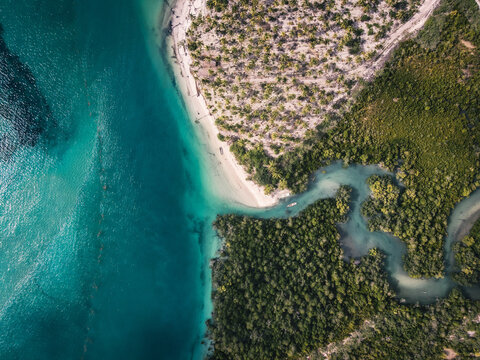 Overhead photo of river going to sea from forest