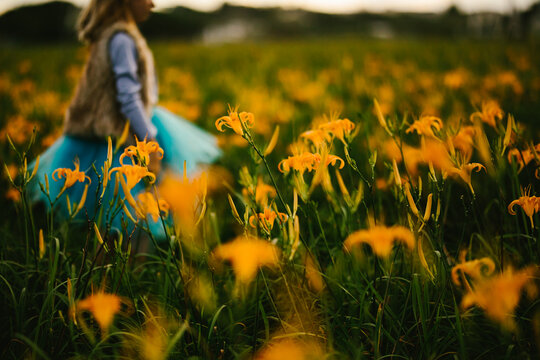 Girl walks through fall orange lily flower field