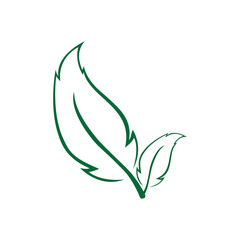 leaf logo vector template ilustrator and icon design