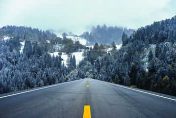 Landscape of long asphalt road through the forest. Empty road in winter forest. free space for decoration.
