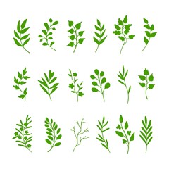 Green leaves and twigs. Hand drawn springtime set of design elements