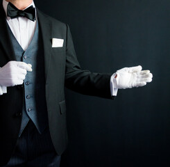 Portrait of Butler in Formal Suit and White Gloves With Welcoming Gesture. Concept of Service...