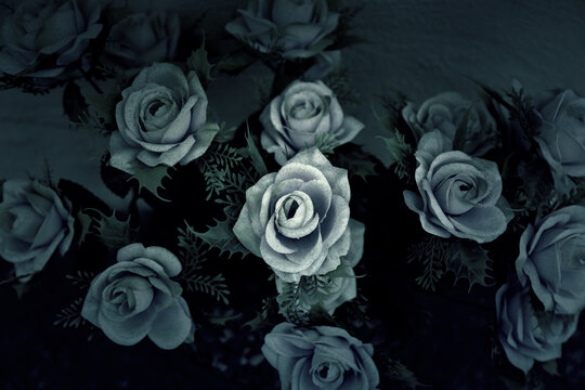 Flowers in a cemetery
