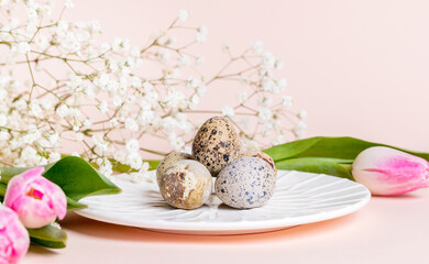 Easter composition with quail eggs on white plate with tulips and gypsophila flowers on pastel pink.