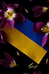 War in Ukraine. Ukrainian flag on purple tulip flowers. Stop war, no war. Close the sky, save Ukraine!