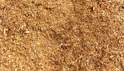 Wood chip mulch background. Close-up texture of a heap of wood chips from shredded trees 