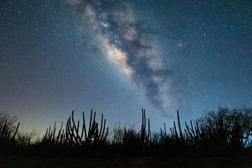 Milky Way galaxy above the silhouette of a cactus field