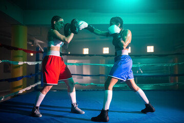 Plakat Side view of young girls working out punches. Two sporty girls in sportswear preparing for boxing match, practicing to use strength and speed to win in bout. Active sport and womens boxing concept