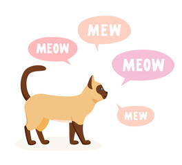 Siamese cat meowing and talking. Talkative pet yelling, yowling and crying a lot. Vector