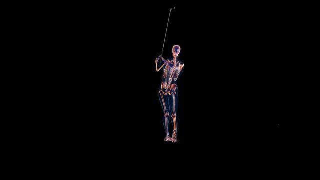 Human x-ray body and skeleton, Golf Hit, Camera Rotating, Alpha Channel