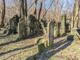 Jewish cemetery in Poland, Warsaw