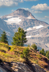 Fototapeta na wymiar European Alps