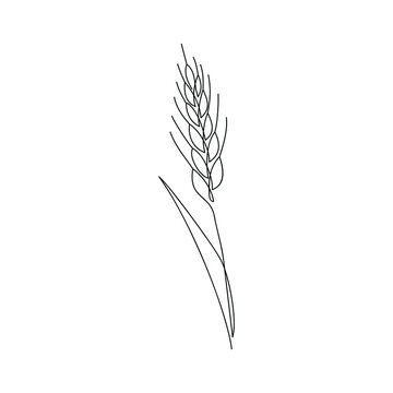 recommend clip art: Wheat branch drawn in one line. Agriculture sketch. Continuous line drawing ripe ears. Minimalist art. Simple vector illustration.