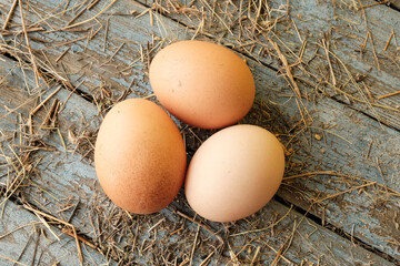 Large farm brown eggs on a wooden blue table with straw. The concept of housekeeping, dietary product, easter holiday