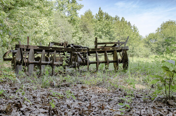 Old rusty harrow machine in a grassy field surrounded by trees