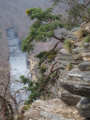 National park Podyj&iacute; Znojmo