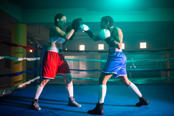 Side view of female boxers during boxing class. Two young girls training in gym with blue light, preparing for boxing match and practicing punches to win in bouts. Active sport, womens boxing concept