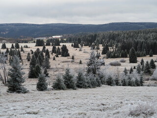 Krusne hory mountains Czech republic